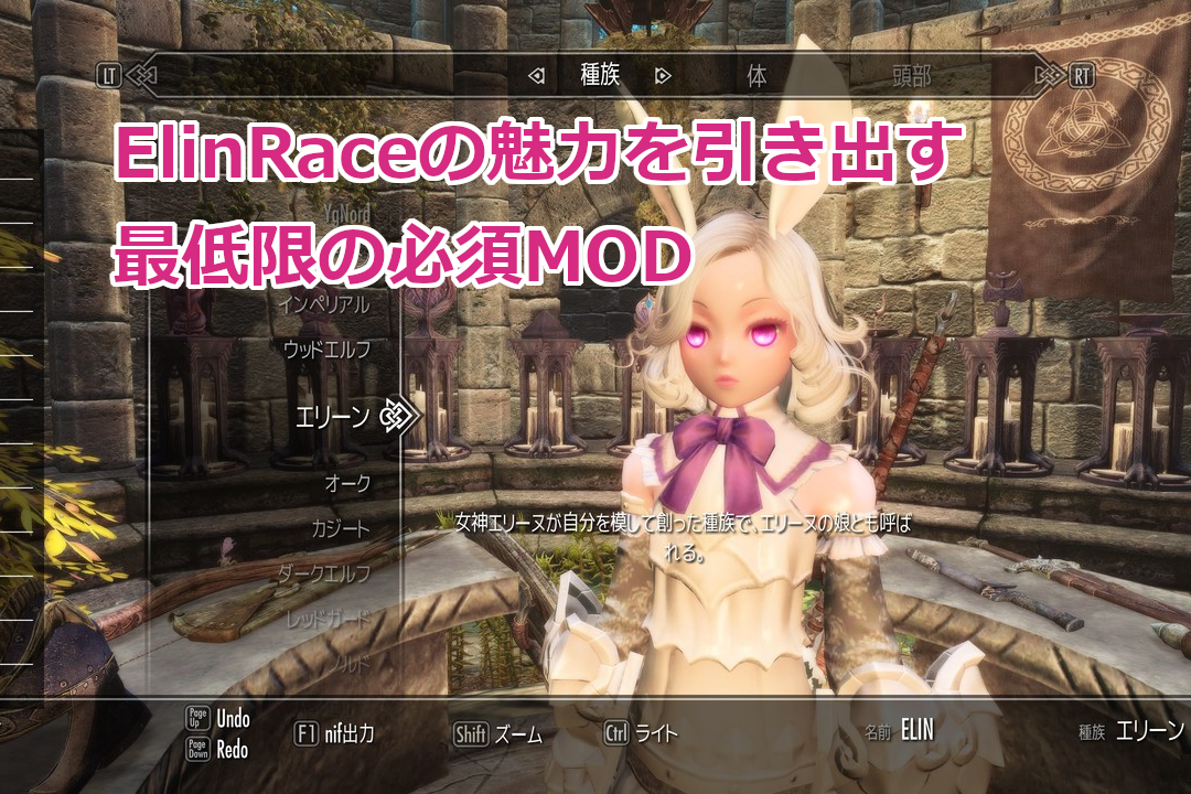 Skyrim Le Elinraceの魅力を引き出す最低限の必須mod Zpgbf